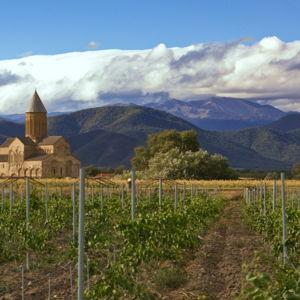 Wine Tasting Tour for Two