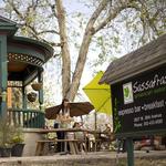 Sassafras American Eatery, Downtown Golden