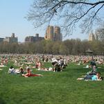 Sheep Meadow