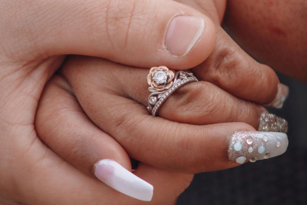 The Wedding Website of Alondra Santos-Castillo and David Aube