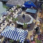 The Salty Dog Cafe