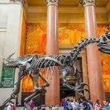 American Museum of Natural History
