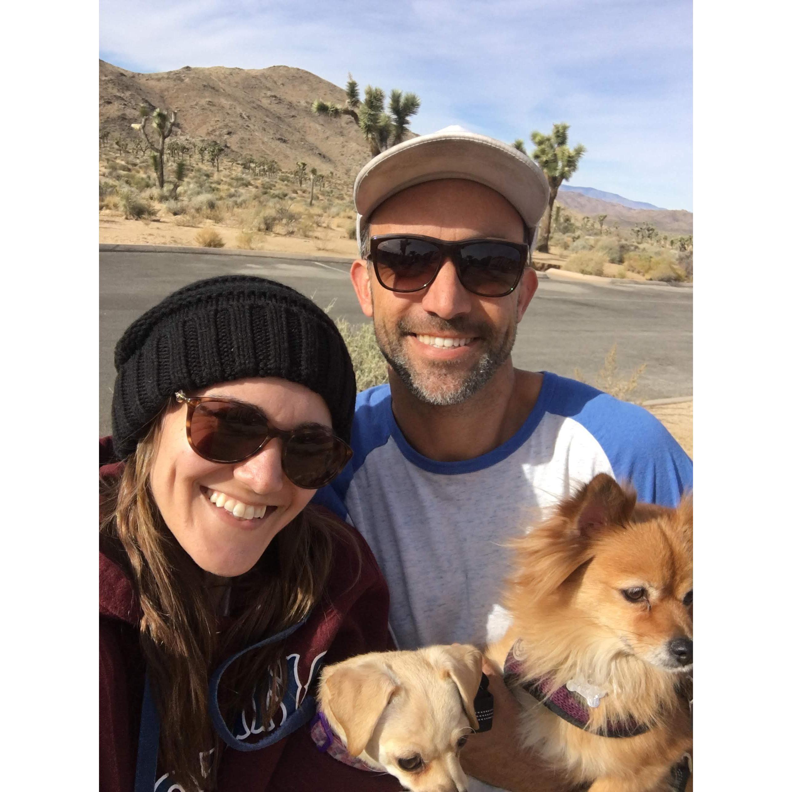 Our first Joshua Tree trip. Fun with the pups because we were able to see every animal listed on their guide!