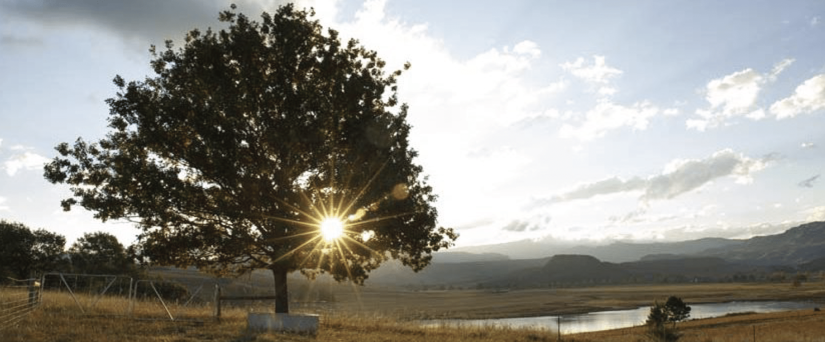 The Wedding Website of James Speed and Jessie Cohen