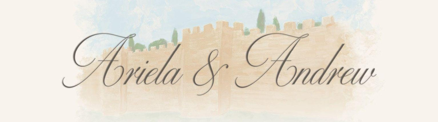 The Wedding Website of Ariela Sragowicz and Andrew Galitzer