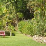 Tropical Garden Barbados