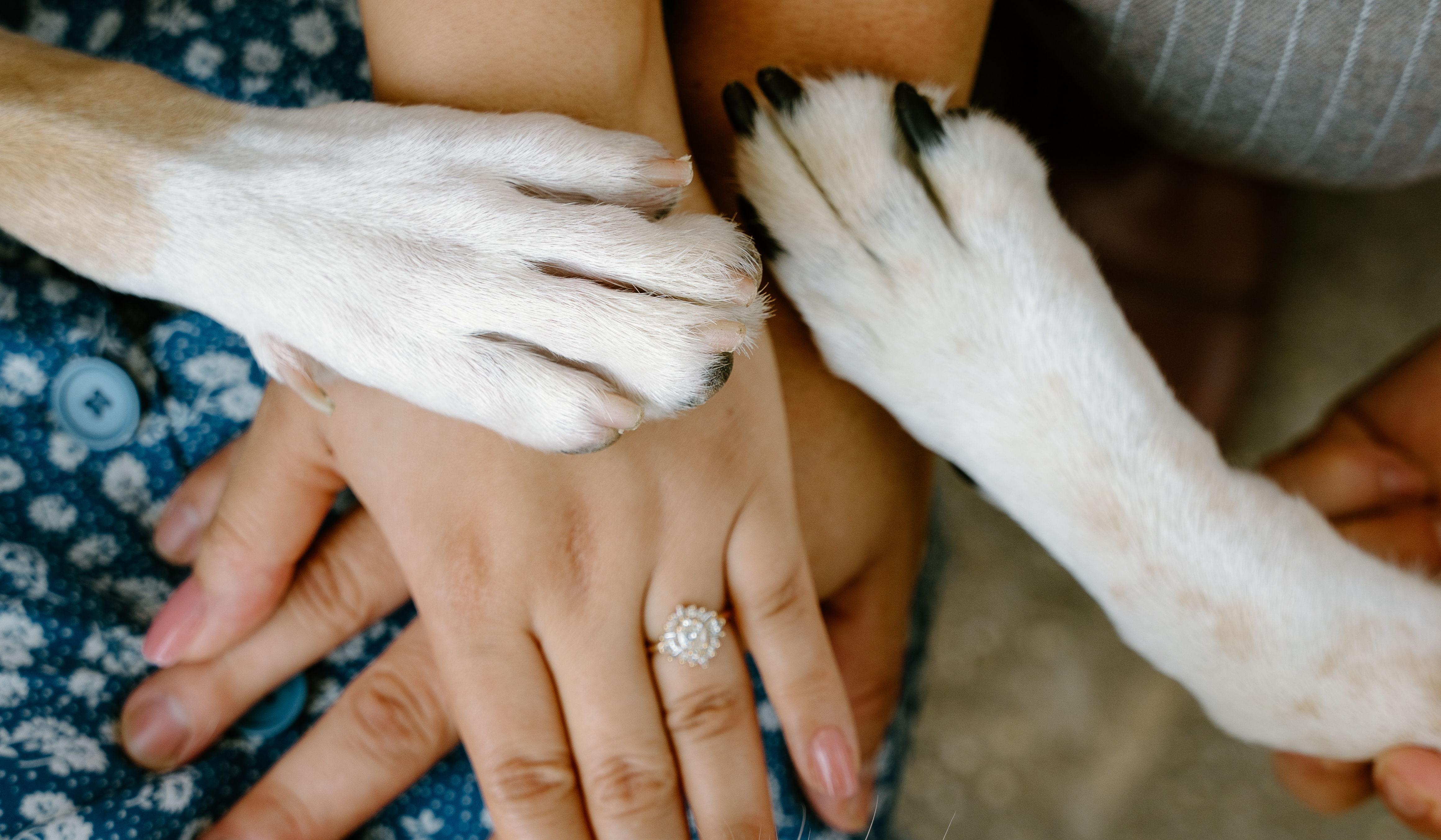 Hero Slideshow Image 0