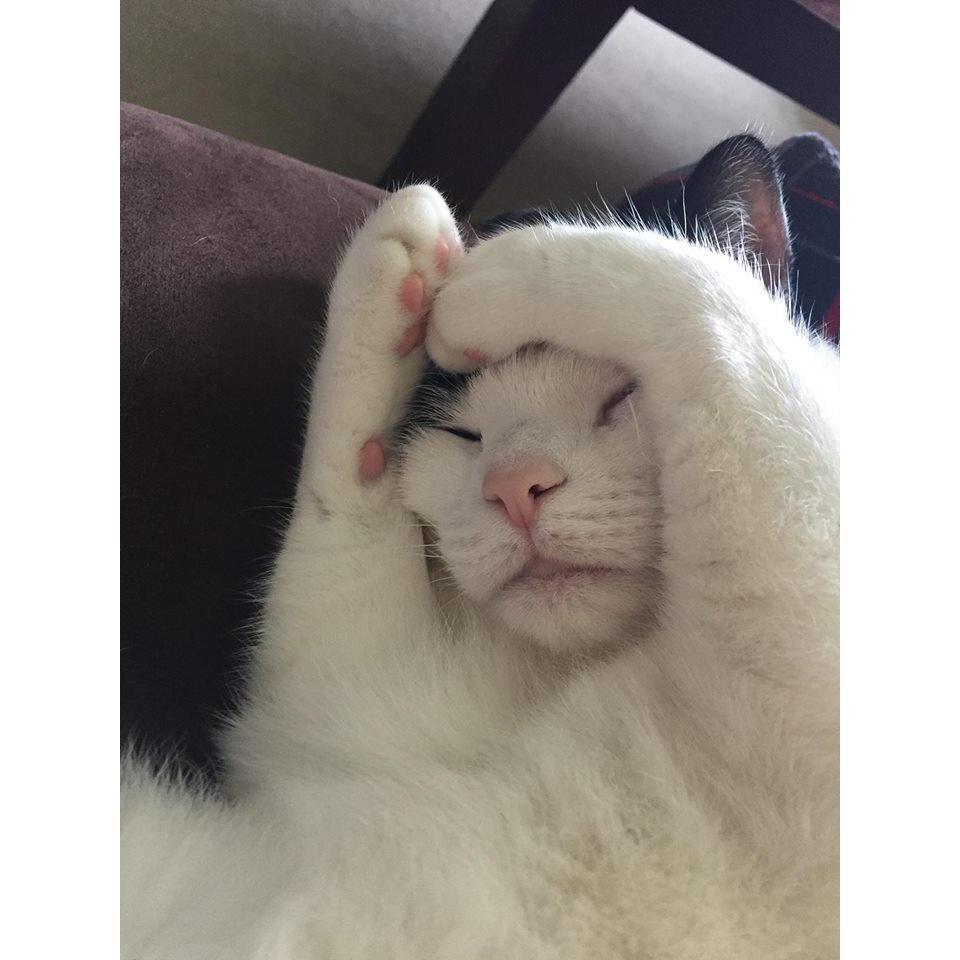 Charlotte being adorable.