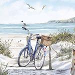 Bike and Beach Gear Rentals