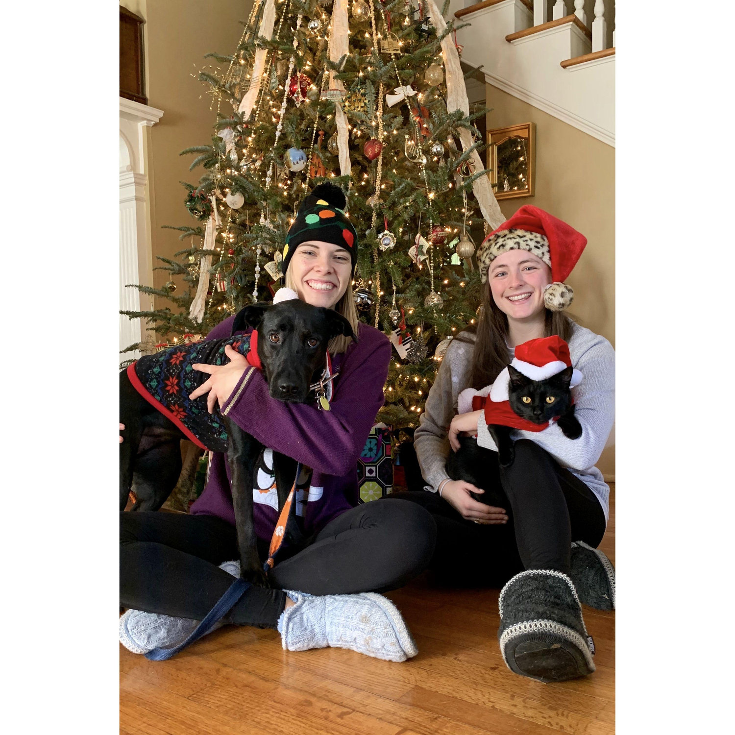 Christmas with our dog, Rebel, and our first cat we adopted together, Kobe