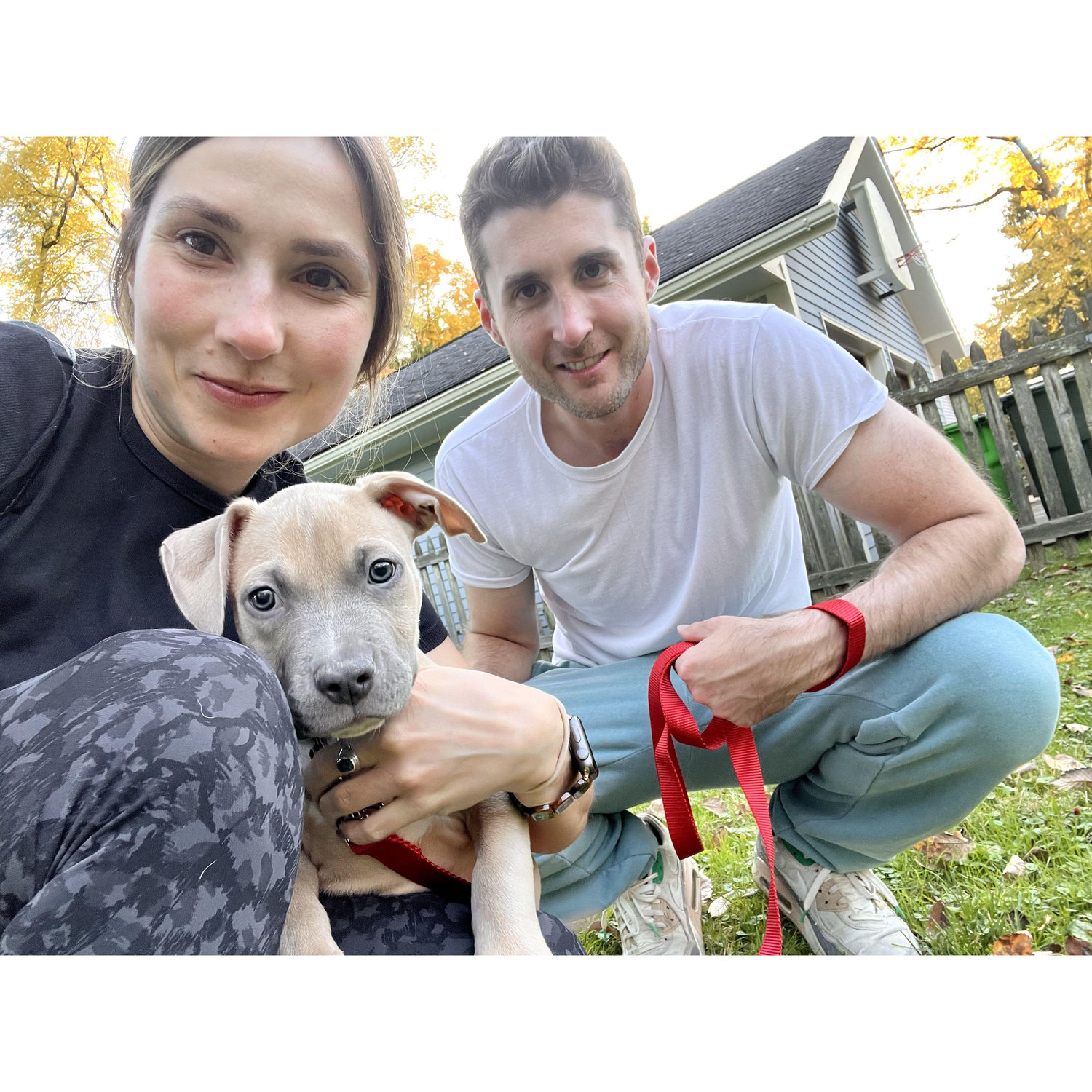 Moments after bringing Petey, our beloved pittie home