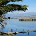Baylands Nature Preserve