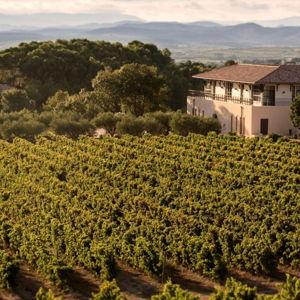 Vineyard tour and tasting in Montpellier