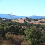 Stanford Dish