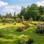 Elizabeth Park Rose Garden