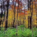 Cool Creek Park