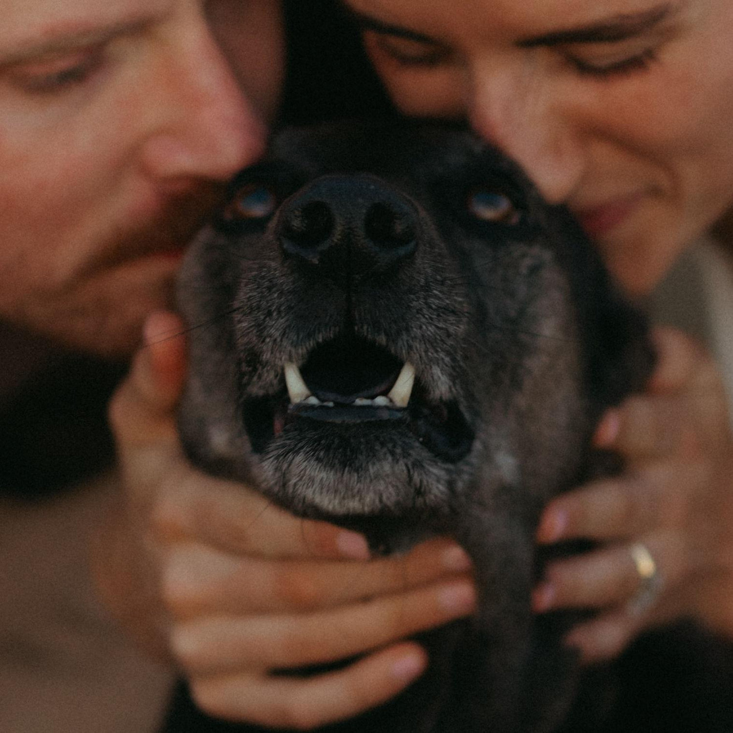 Fun Fact: Brandon thought Luna was a full-grown wiener dog when he first met her.