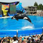 SeaWorld