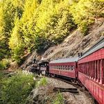 The Skunk Train