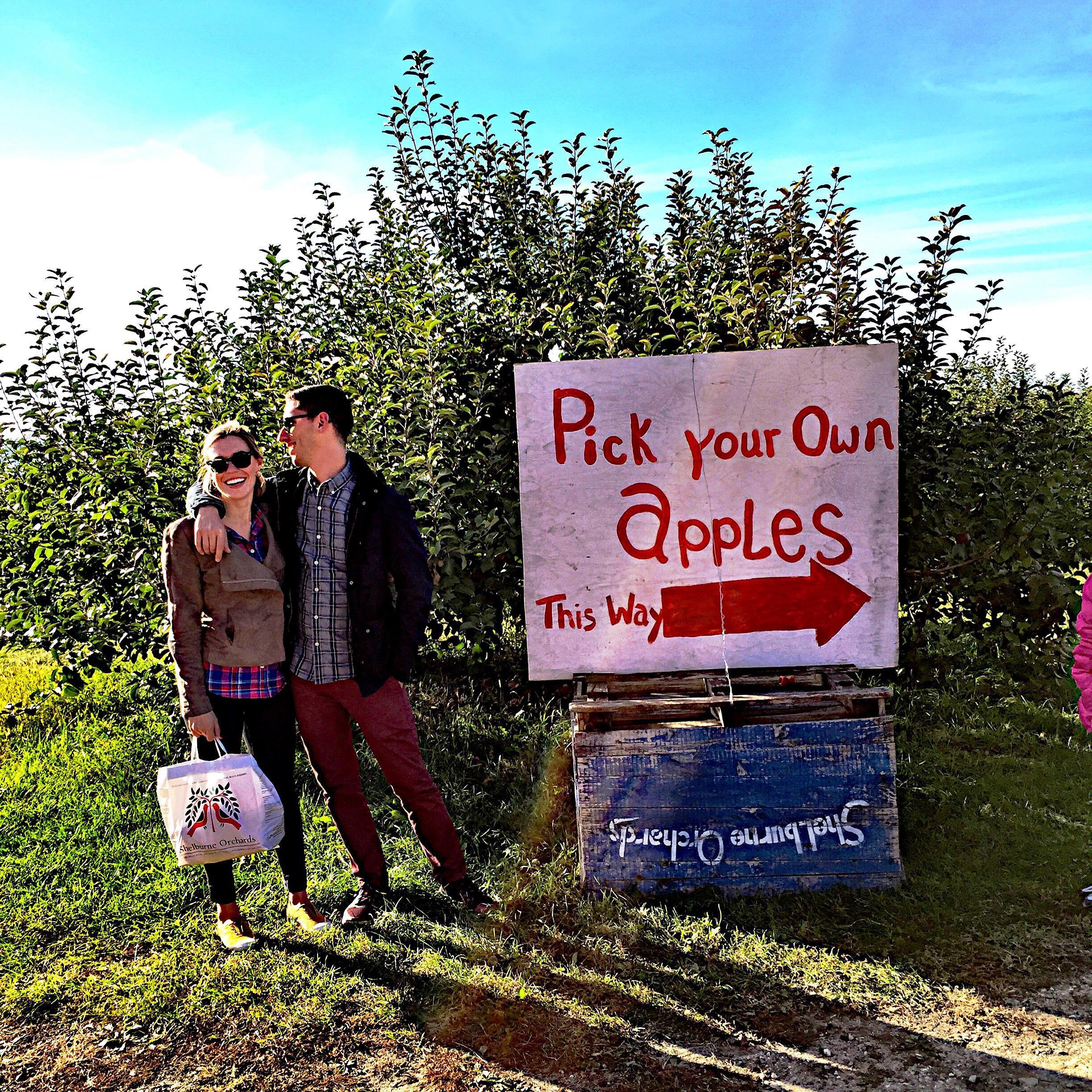Apple picking in VT