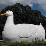 The Big Duck