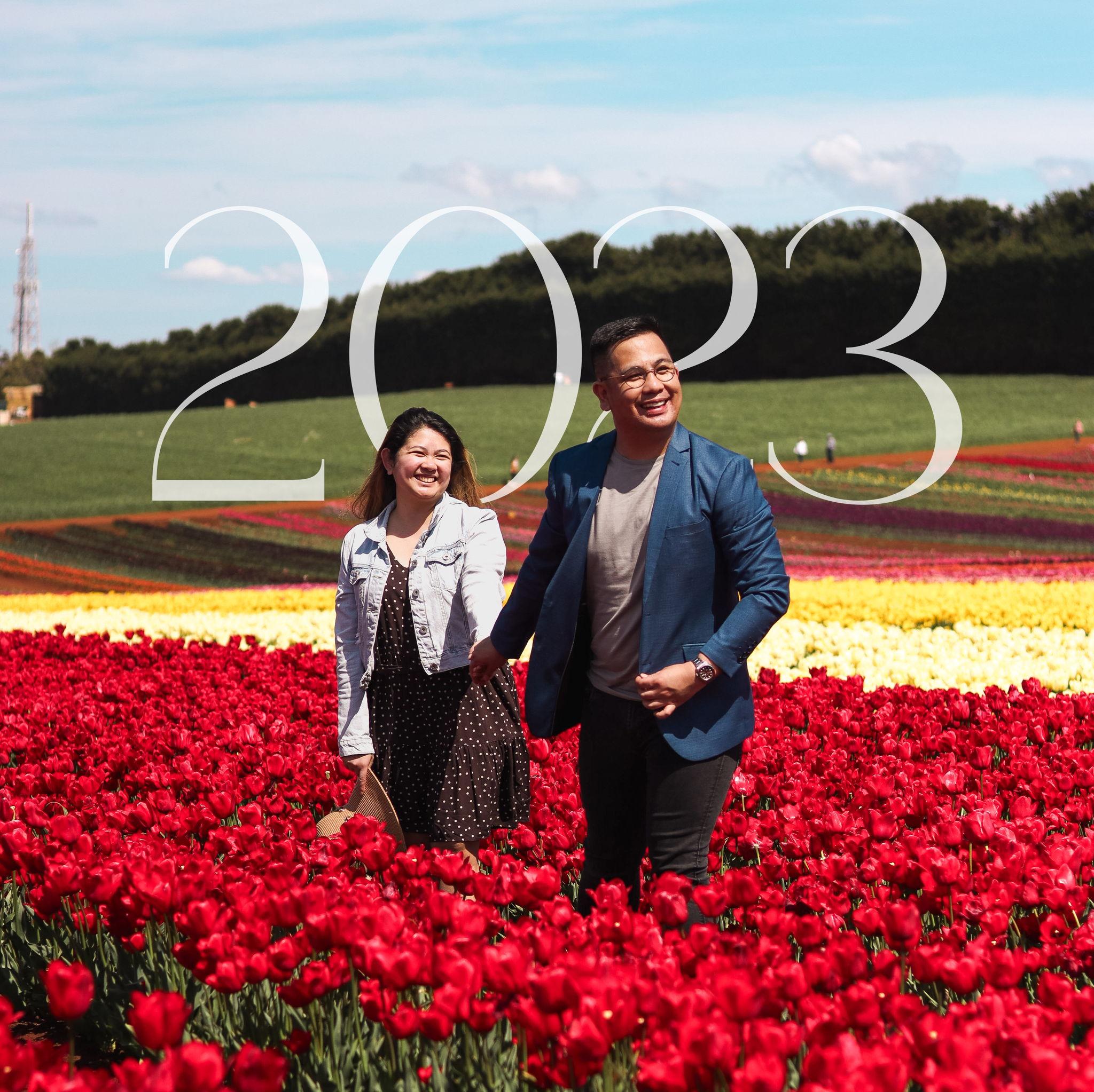 Table Cape Tulip Farm, Wynyard TAS