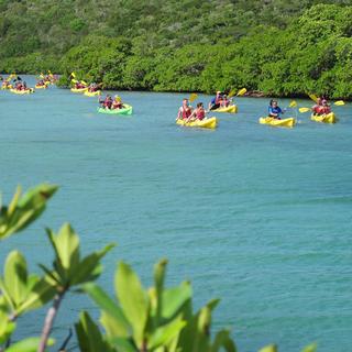 Cas Cay Kayak, Hike & Snorkel for 2 - US Virgin Islands