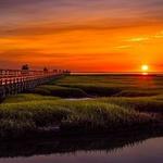 Grays Beach