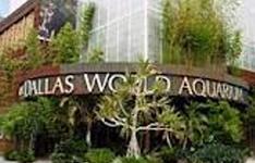 The Dallas World Aquarium