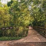 Frick Park