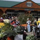 Linvilla Orchards
