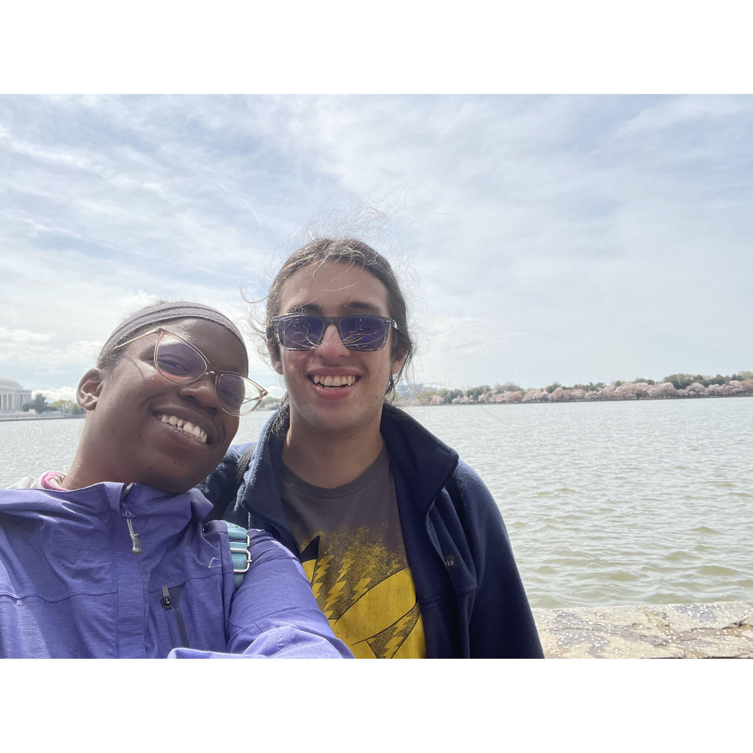 Cherry Blossoms on the Potomac River.