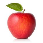 Solebury Orchards