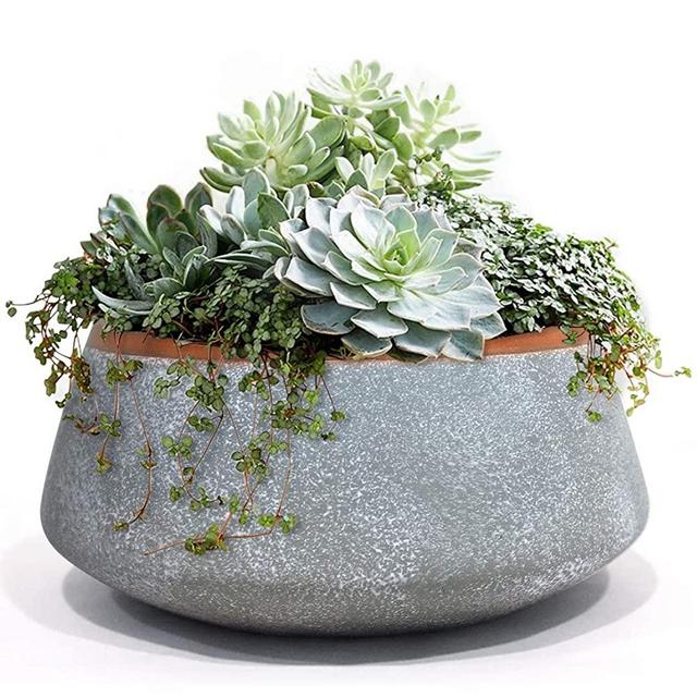LA JOLIE MUSE Large Succulent Planter Pots - Ceramic Indoor Outdoor Garden Pot with Drainage for Plant Flower, 8 Inch, Gray
