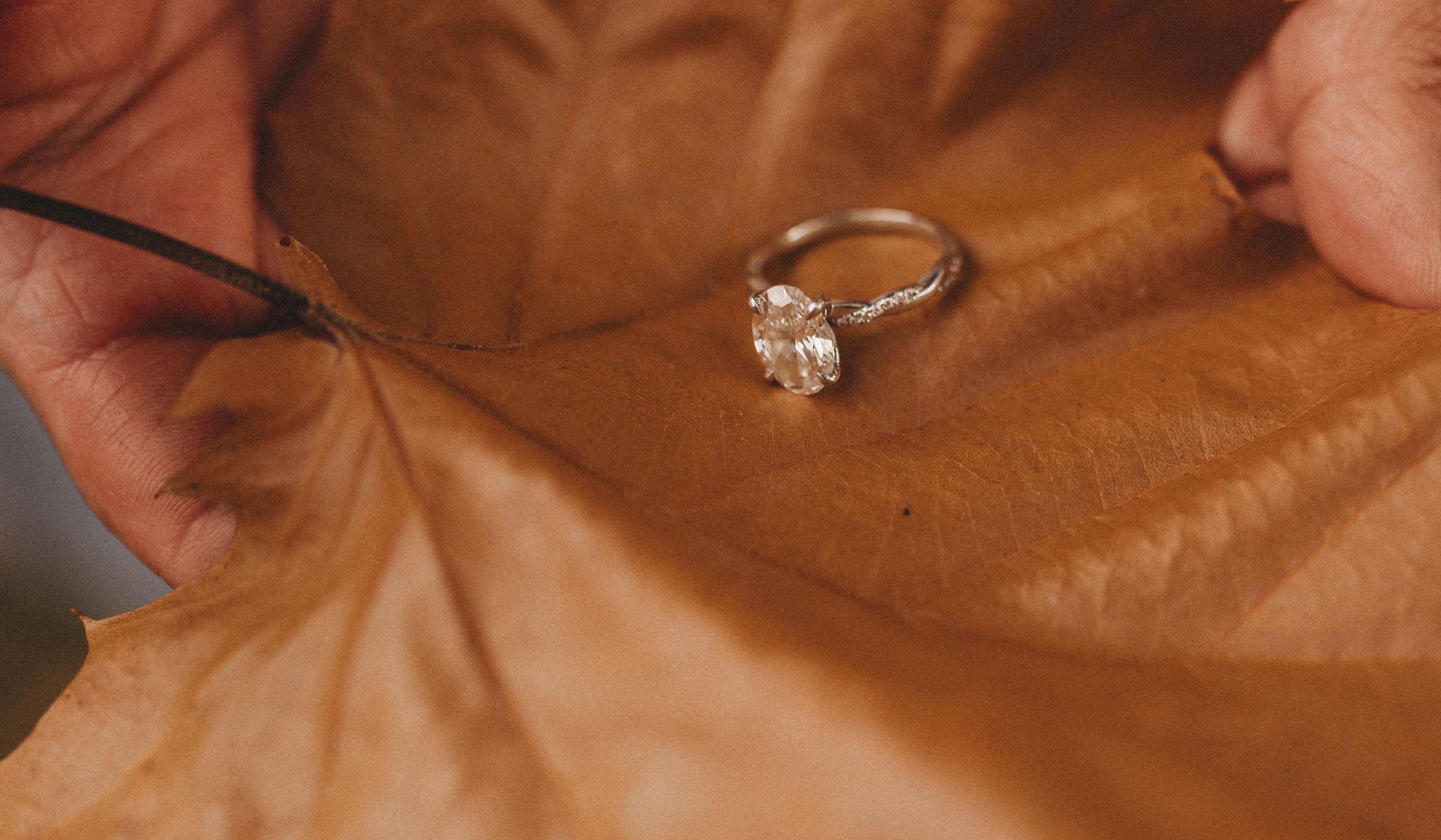 Hero Slideshow Image 2