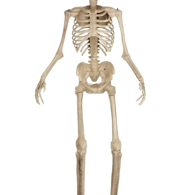 Animated 8 Foot Giant Skeleton Decoration - ST