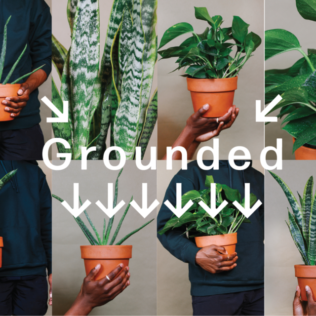 Grounded Gift Card