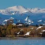 Cherry Creek State Park