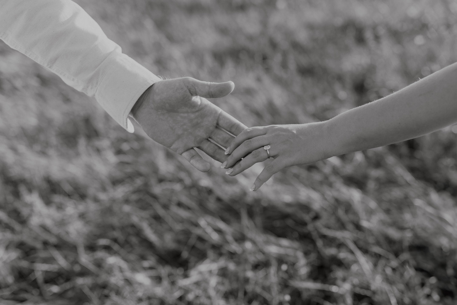 The Wedding Website of Madison McDonald and Alexander Spahman