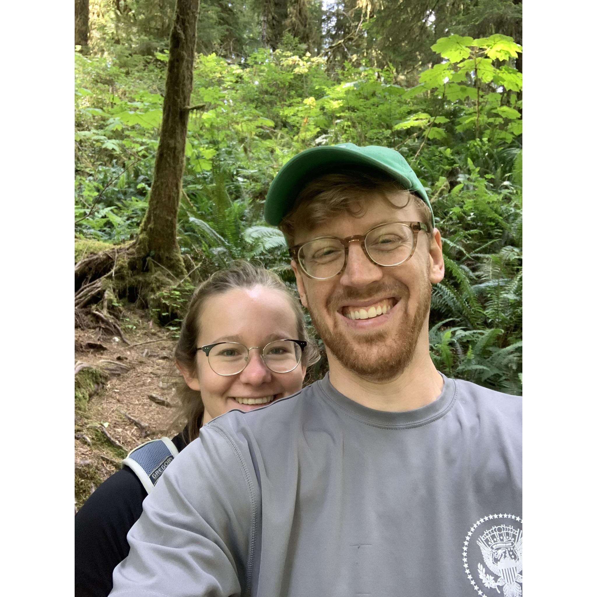 Rainforests in Olympic National Park