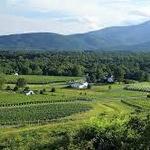 Veritas Vineyards and Winery