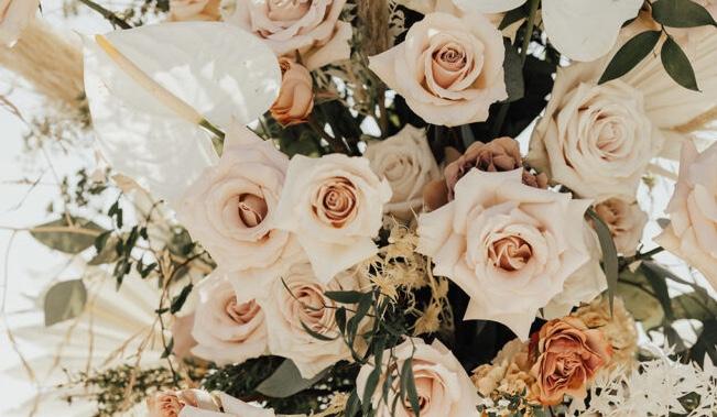The Wedding Website of Desiree Epps and Wyatt Eirikson