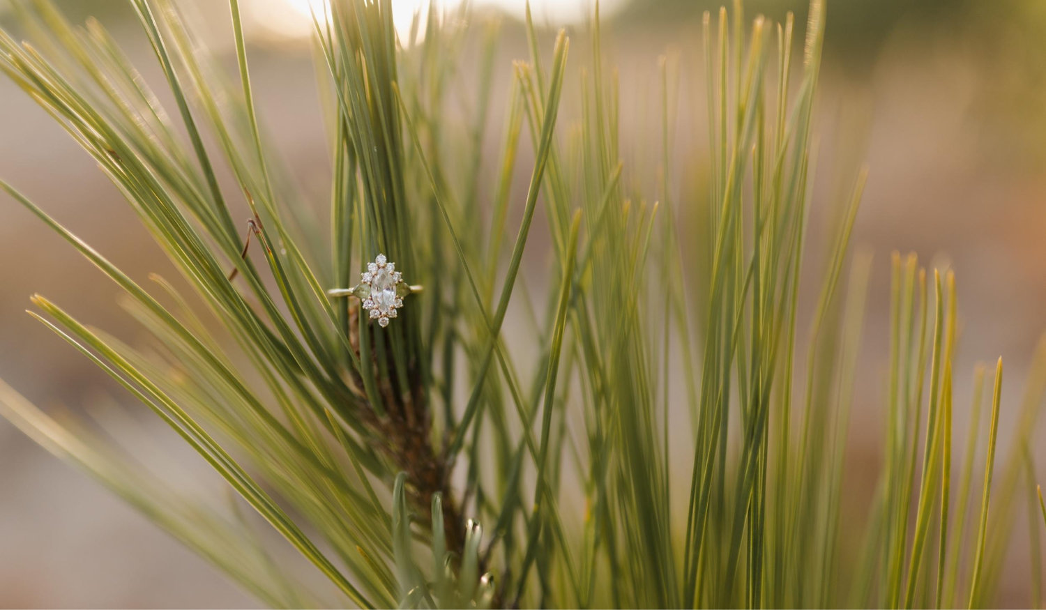 The Wedding Website of Kelly Cardinal and Tyler Branch