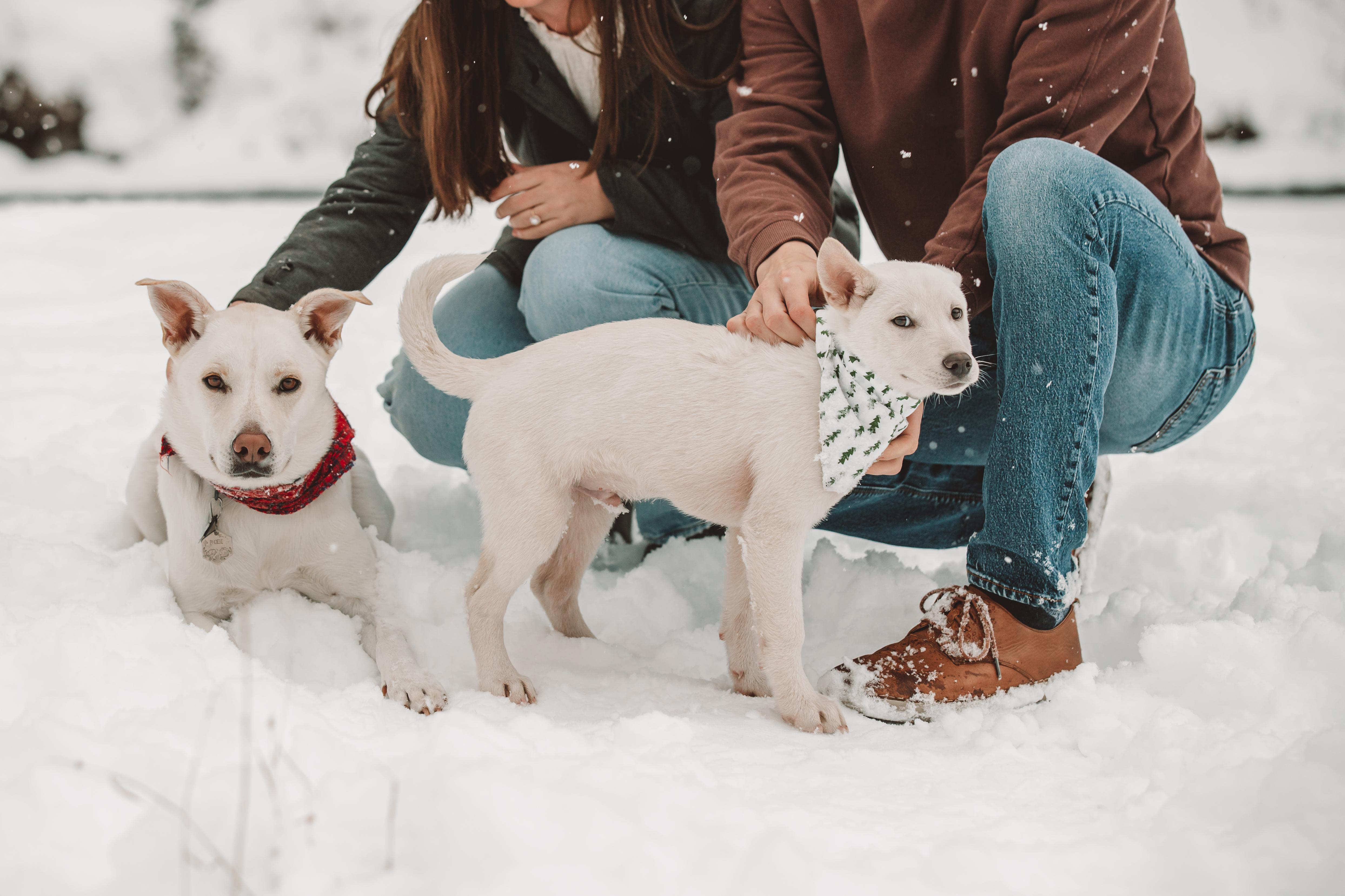 The Wedding Website of Ryan Russ and Brian Biccum