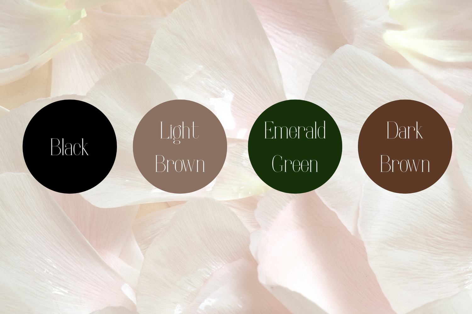 The Wedding Website of Rebecca Troquille and Dwight Kovich