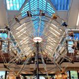 Scheels