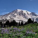 Mount Rainier National Park