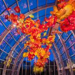 Chihuly Garden and Glass