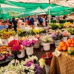 La Jolla Open Aire Farmers Market