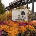 The Morton Arboretum